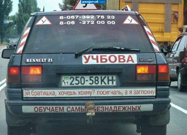 Судя по львенку на фаркопе-безнадежно