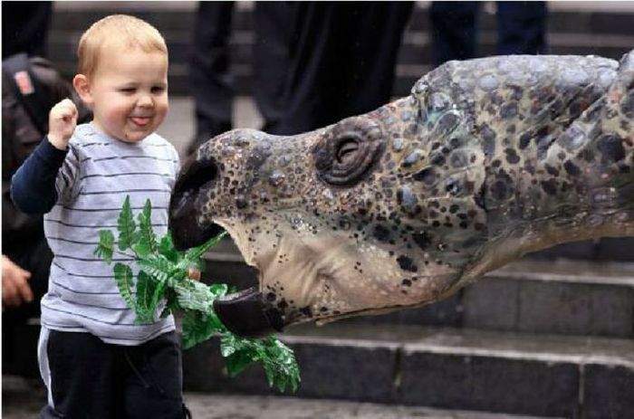 Крепкие нервы у карапуза....