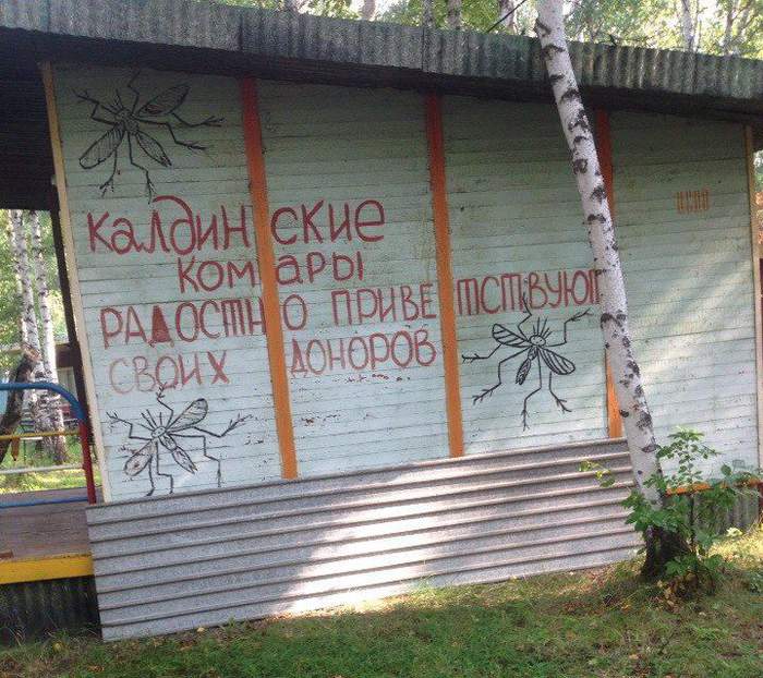 Рисунки комаров - в натуральную величину