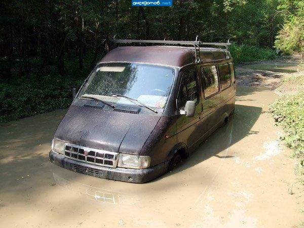 газель на водопое