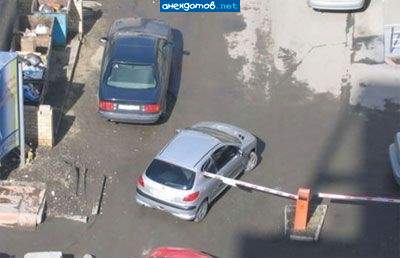Попался, голубчик!