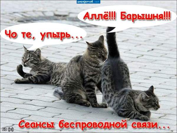 глянь гланды не воспалились