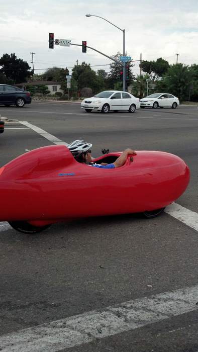 Личинка Ferrari.