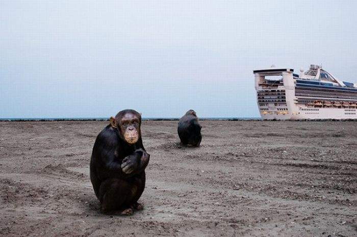 так, людишки передохли... теперь нам планету восстанавливать...