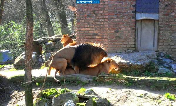 фотограф следующий