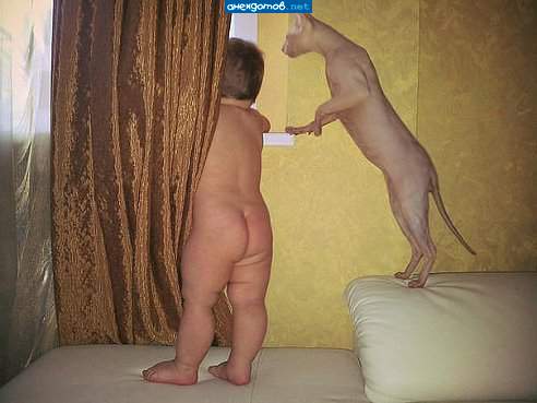 Нудисты завели кота.