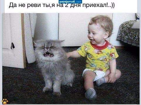 Аааааа, заберите меня куда-нибудь, пожалуйстааааа...