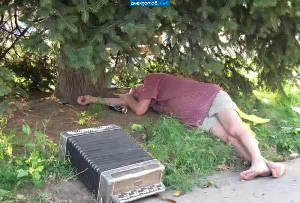 А и сам я нынче штой-то стал нестойкий...