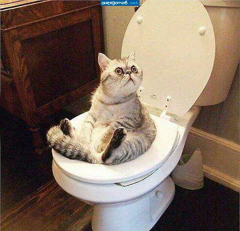 Занято! Стучаться надо!