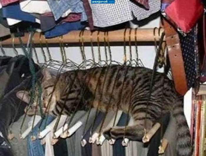Фигвам кота Матроскина