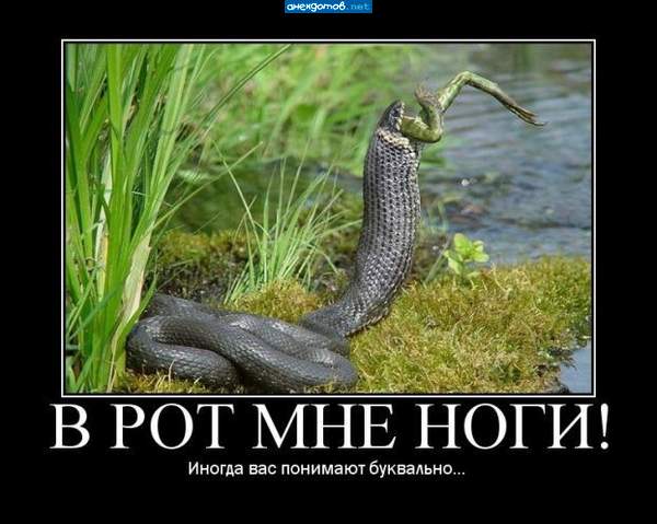 ......и нафига я эту стрелу ловила?