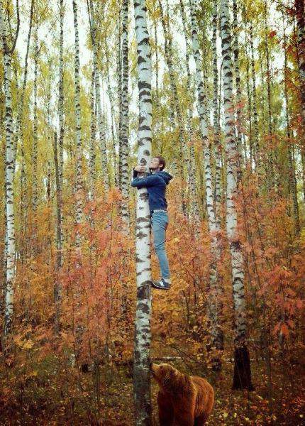 Что дятлов не видел?