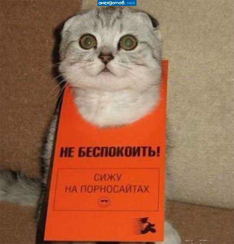 Судя по глазам- узнал много нового :)