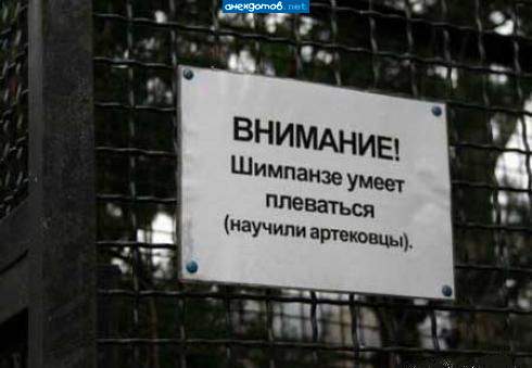 В Артеке отдыхают дети российских олигархов