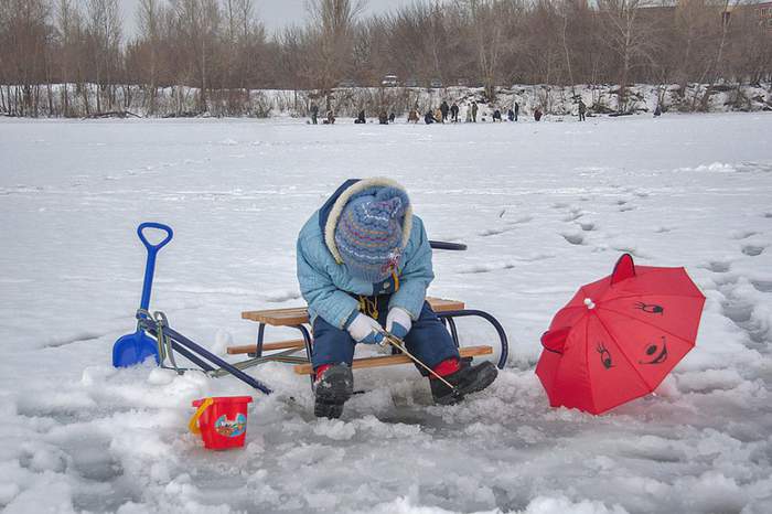 Уже клюет. Носом.