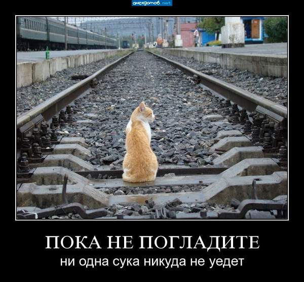 Каренина Мурка