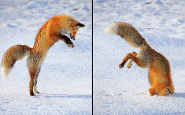 Оп—ля! Ох—бля....