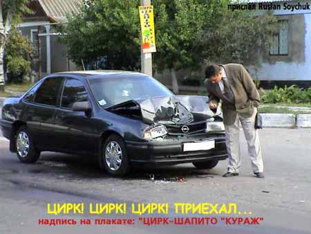 ну и комарик попался!