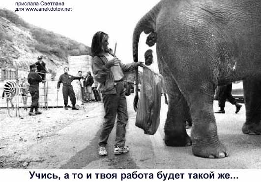 Собачников так бы приучить