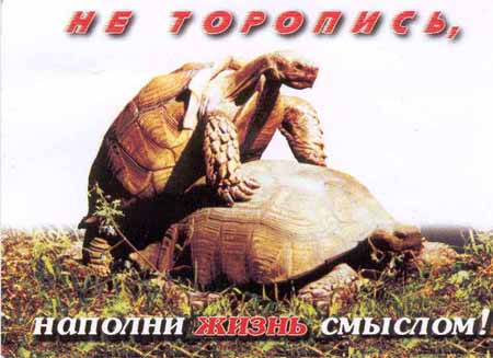 давай уж наполняй а то жрать уже хотся никак третий день пошел
