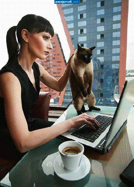 Пусти кота, дура!!!