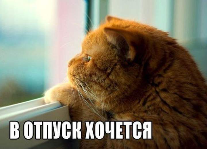 На мур-мур-ские острова!!!