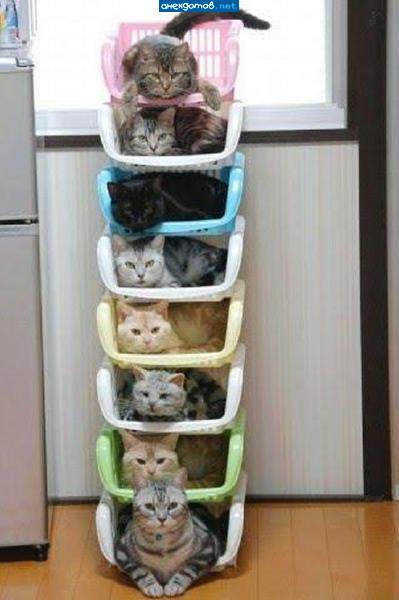 котэ.rar