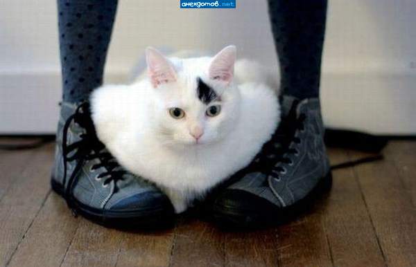 гнездо