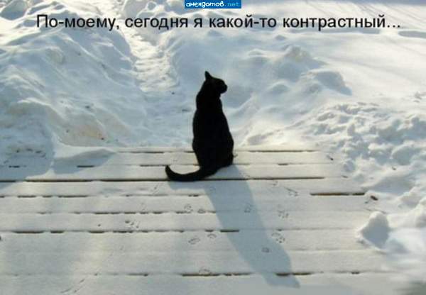 Выхожу один я на дорогу....