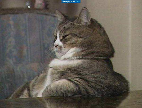 сегодня приема нет...