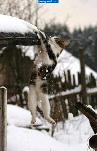 сосулькэт... весна!