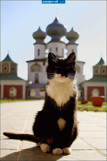 - кому грехи отпустить? я всех здесь знаю.