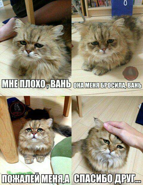 Друг в беде не бросит, лишнего не спросит.