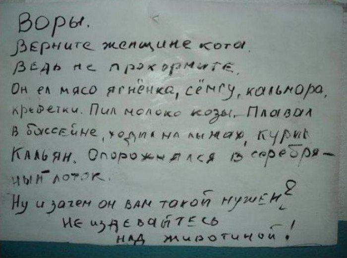 Можно я буду Вашим котом?