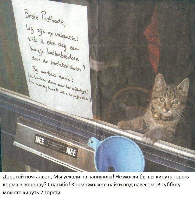 Вот уроды!!! Их бы так, через воронку, неделю за неделей!