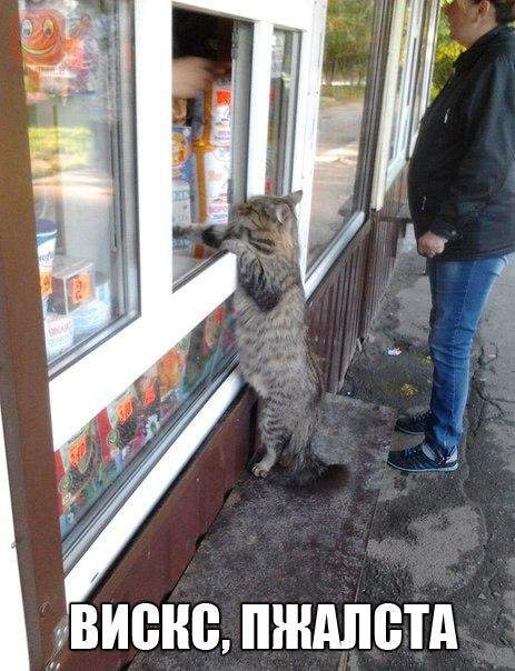 а сдачу?!