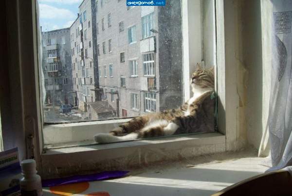 ....и пусть весь мир подождет....