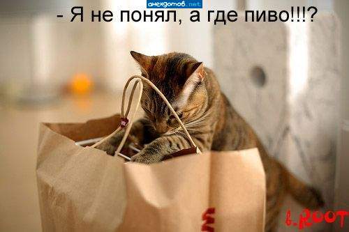 лучше, чем подпись на самой фотке, не придумать!