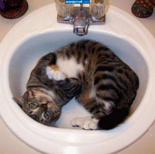 Чё смотришь? Живу я здесь!