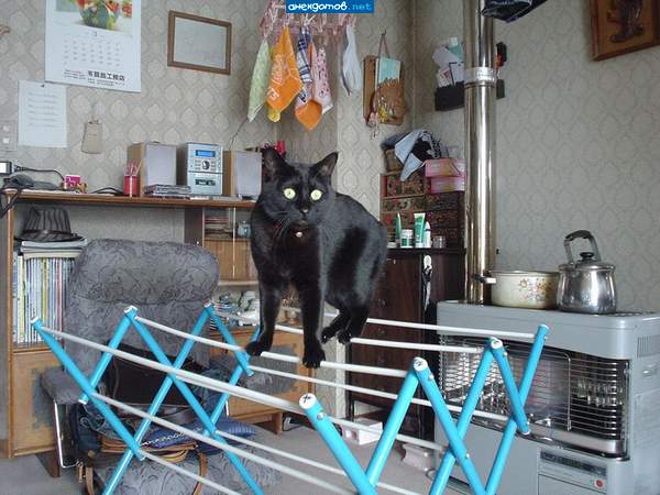 Хозяйка, снимай, я уже высох!