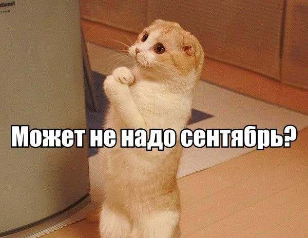 Я хороший... Дайте рыбки!