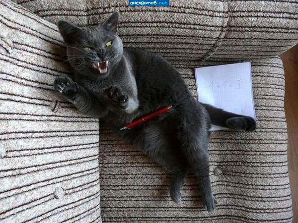 Я написал правильно.... 1 котлета+1 котлета=3 котлеты как минимум