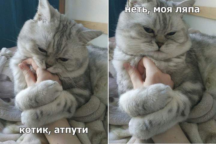 вот почему я пропустил работу