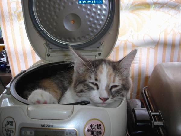 Где то в Корее...