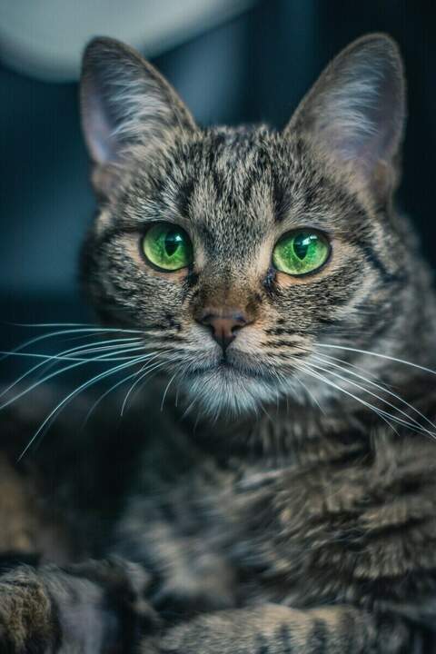 ""
