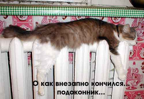 это ещё вопрос, кто кого греет...