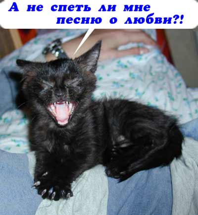 Вот вырсту и буду целый день вам дорогу перебегать!
