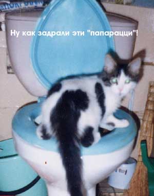 Вы так прекрасны в этом туалете...
