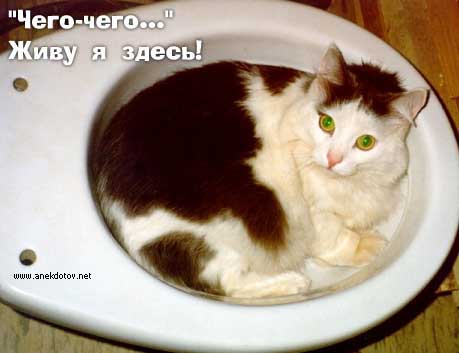 [Image: wc.jpg]