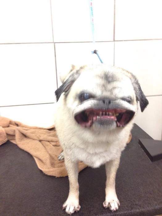 TrollFace. Ну похоже
